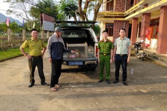 Tiếp nhận động vật hoang dã để cứu hộ, chăm sóc và thả về môi trường tự nhiên